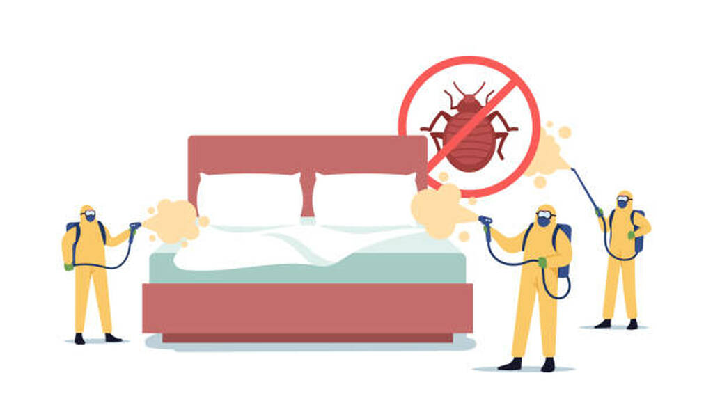 Professional Pest Control Service
